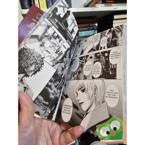 Joun In-Van: Árnybíró 8. (Árnybíró 8.)