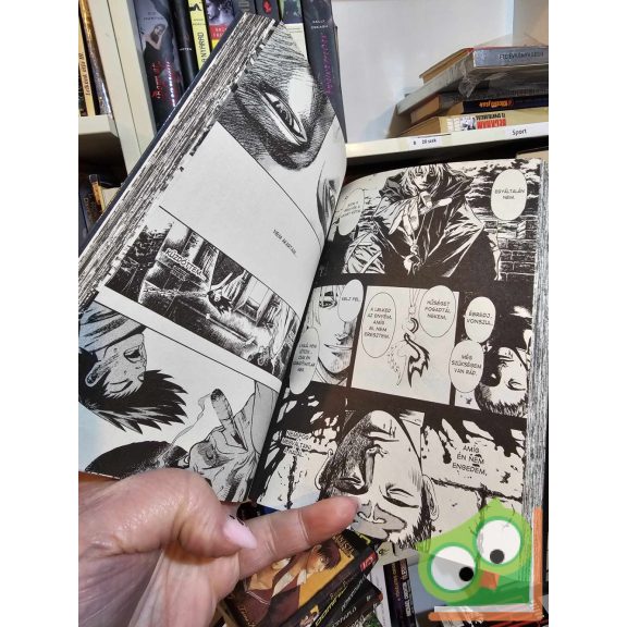 Joun In-Van: Árnybíró 9. (Árnybíró 9.)