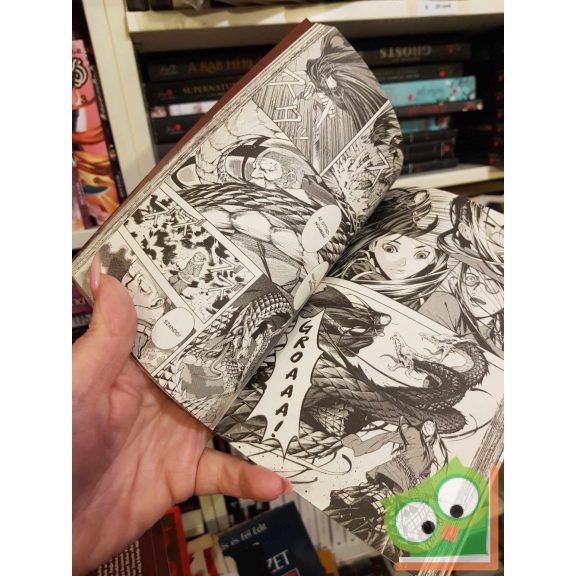 Joun In-Van: Árnybíró 14. (Árnybíró 14.)