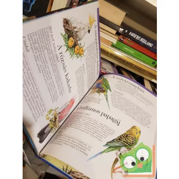   Arturo Arsuffi: Ausztrália és Óceánia állatvilága (A világ állatai)