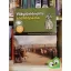 Világtörténelmi enciklopédia 11. - Az abszolutizmus kora és a barokk