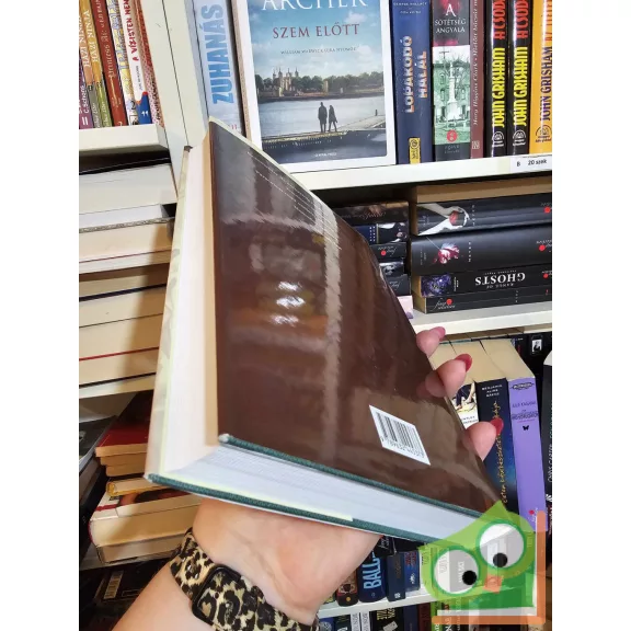 Carl Gustav Jung: Az alkimista elképzelésekről (Carl Gustav Jung összegyűjtött munkái 13.)