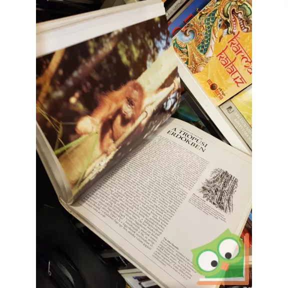 Gerald Durrell, Lee Durrell: Az amatőr természetbúvár  - Útmutató az élő természet tanulmányozásához