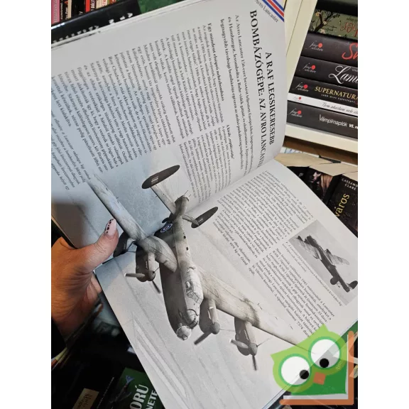 A második világháború teljes története 13. Az égbolt ragadozói