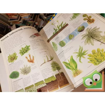 Brian Williams: Az élő világ