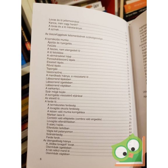 Ulrik Schramm: Az elrontott ló utóidomítása (Lovasakadémia 3.) (nagyon ritka)