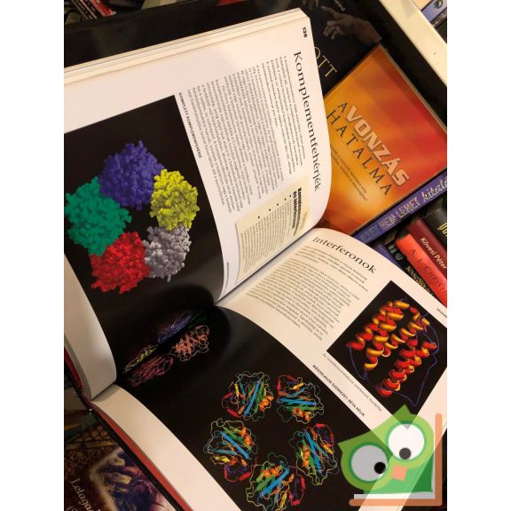 Sarah Brewer: Az emberi test - Bevezetés az emberi anatómiába