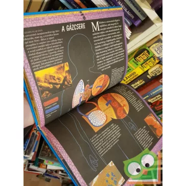 Steve Parker: Az emberi test enciklopédiája