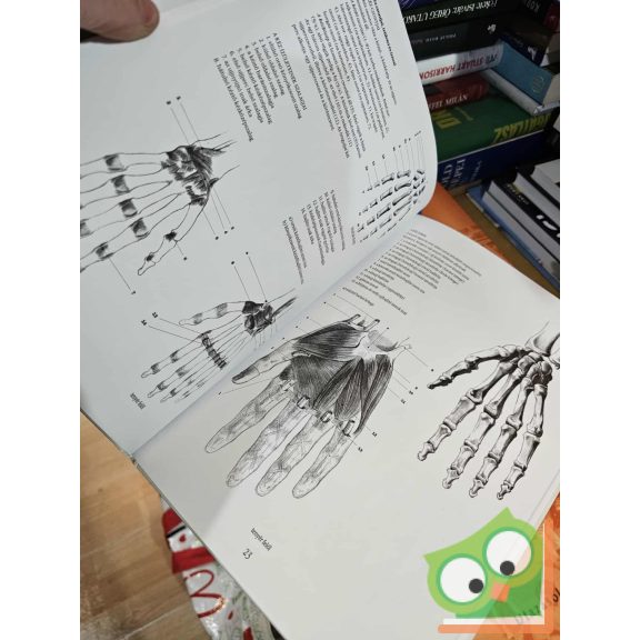 Fehér György - Szunyoghy András: Az emberi test - Kis művészeti anatómia (nagyon ritka)