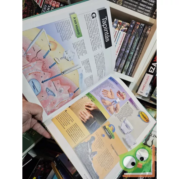 Pesthy Gábor (szerk.): Az emberi test (Time Life Nagyító)