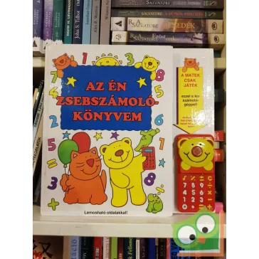 Ballér Piroska: Az én zsebszámolókönyvem