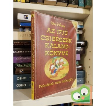 Walt Disney - Az ifjú csibészek kalandkönyve 2.