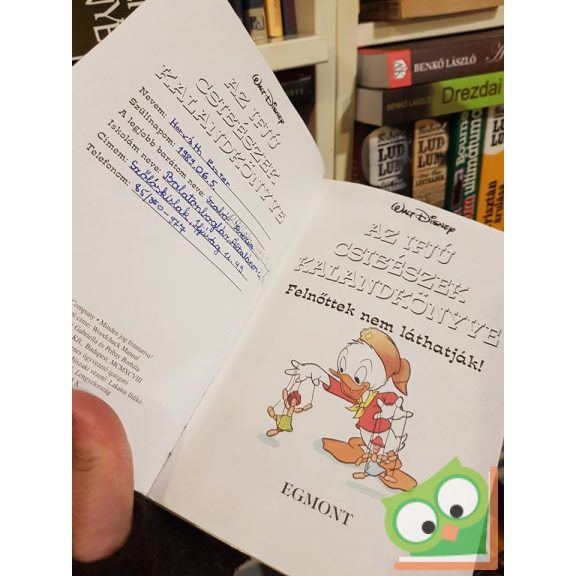 Walt Disney - Az ifjú csibészek kalandkönyve