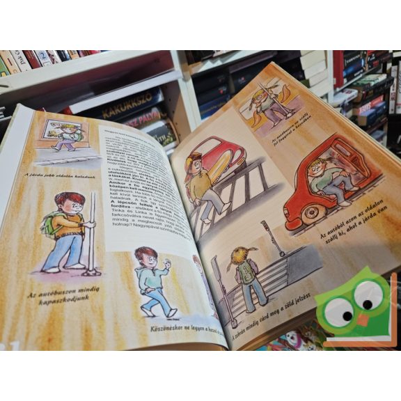 Az illedelmes viselkedés szabályai