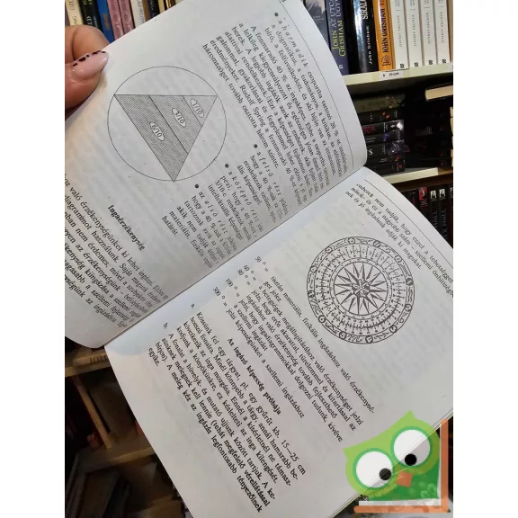 Aranyi Lászlóné: Az inga elmélete és gyakorlata