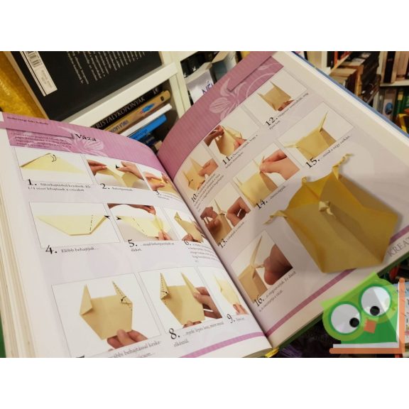 Kricskovics Zsuzsanna: Az origami varázsa