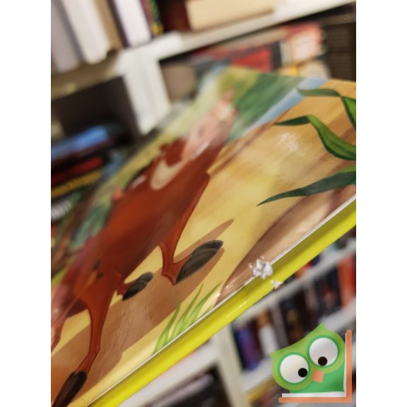 Walt Disney: Az Oroszlánkirály 3. - Hakuna Matata (Oroszlánkirály 3.) disney könyvklub