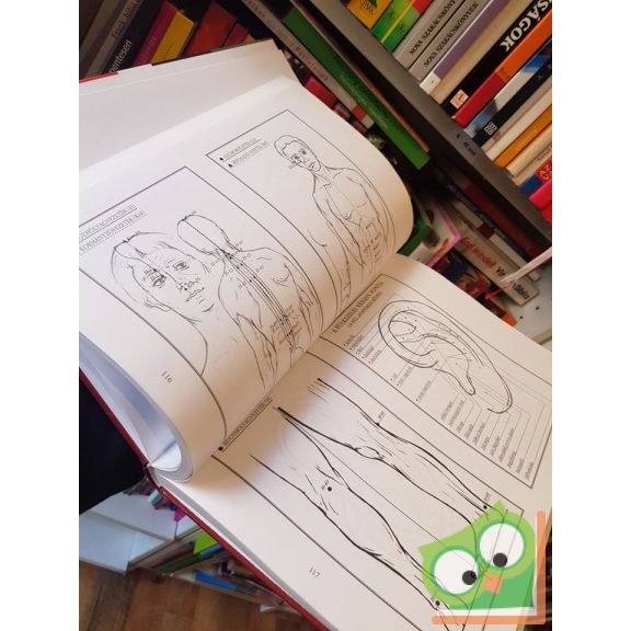 Frank Zsófia- Kürti Gábor: Az otthoni gyógymódok nagykönyve