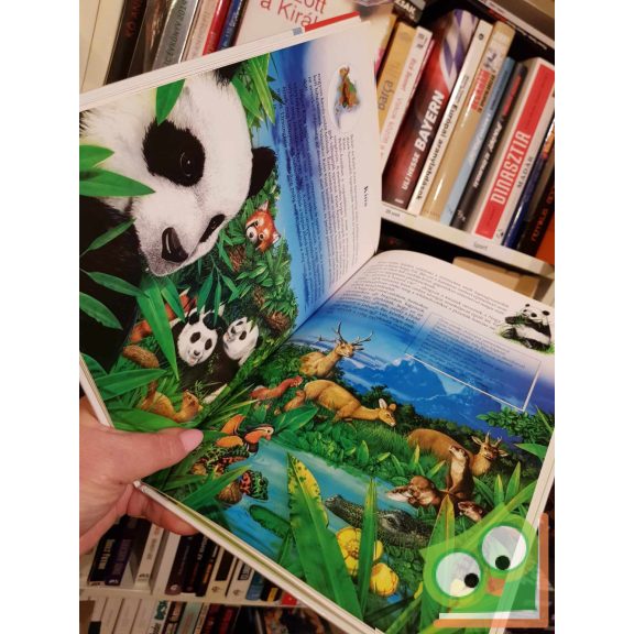 Szabóné Debreceni Erzsébet, Veres László: Ázsia (Mesék Sir Mortimer útinaplói alapján)