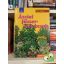Dirk Mann: Ázsiai fűszernövények (Lépésről lépésre)