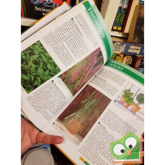 Dirk Mann: Ázsiai fűszernövények (Lépésről lépésre)