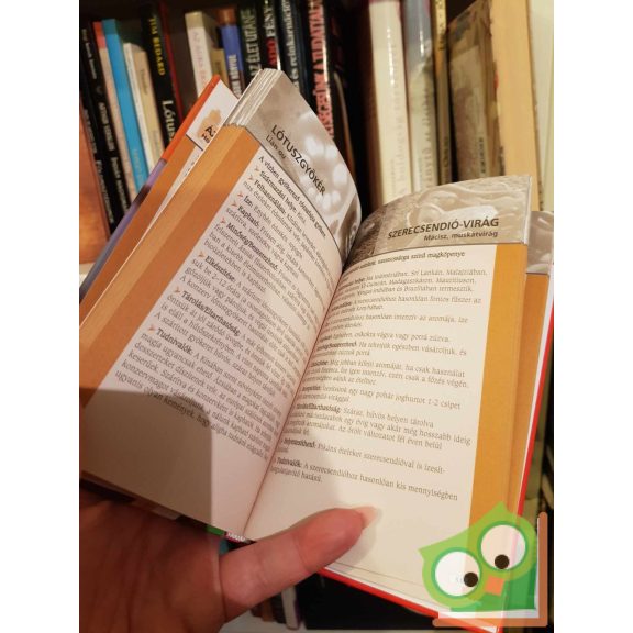 Susanne Bodensteiner: Ázsiai ízek zsebkönyve