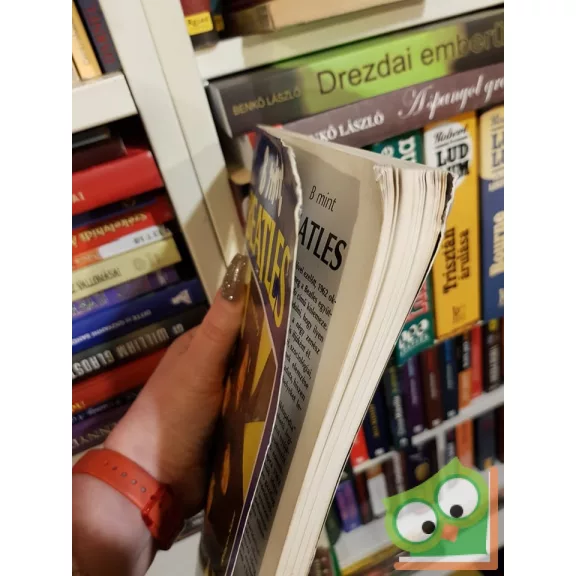 Bánosi György, Tihanyi Ernő, Horváth Endre: B mint Beatles