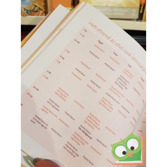 Annabel Karmel: Babaétrend (0-3 év) - 200 egyszerű és egészséges étel gyermekünknek