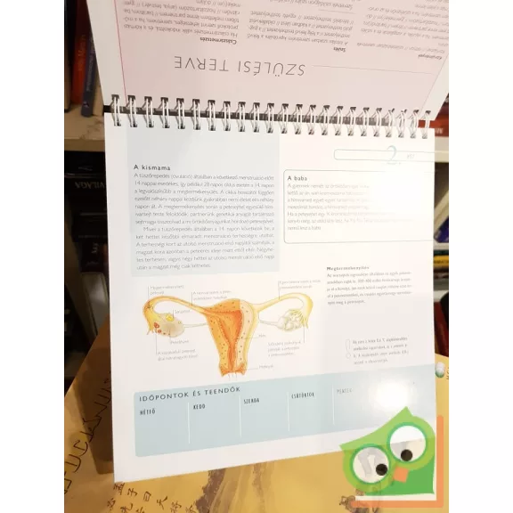 Jane MacDougall: Babavárás hétről hétre