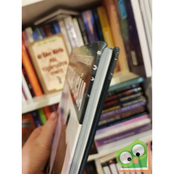 Mark Waid, Dan Curtis Johnson: Bábel Tornya (Az Igazság Ligája 7.) (DC 4. kötet)