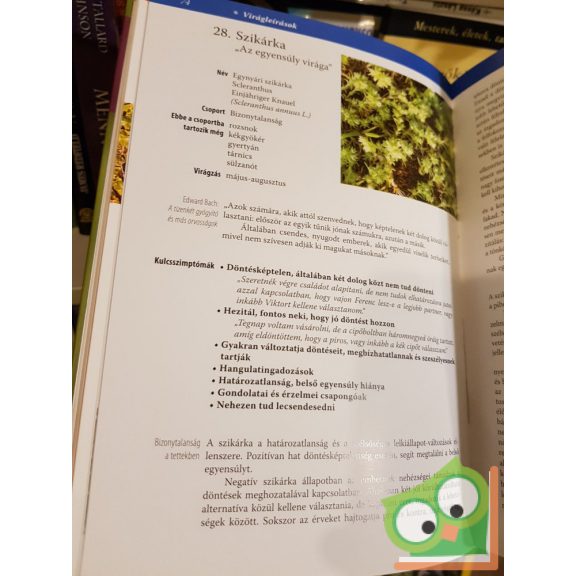 Dr. Várhelyi Gábor Szabó Norbert: Bach-virágterápia a mindennapokban - Lelki problémák, és gyógyításuk