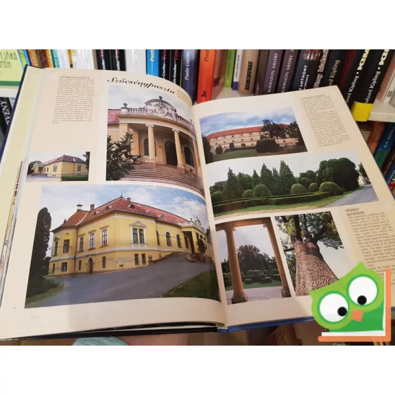 Bagyinszki Zoltán: Magyar ​kastélyok