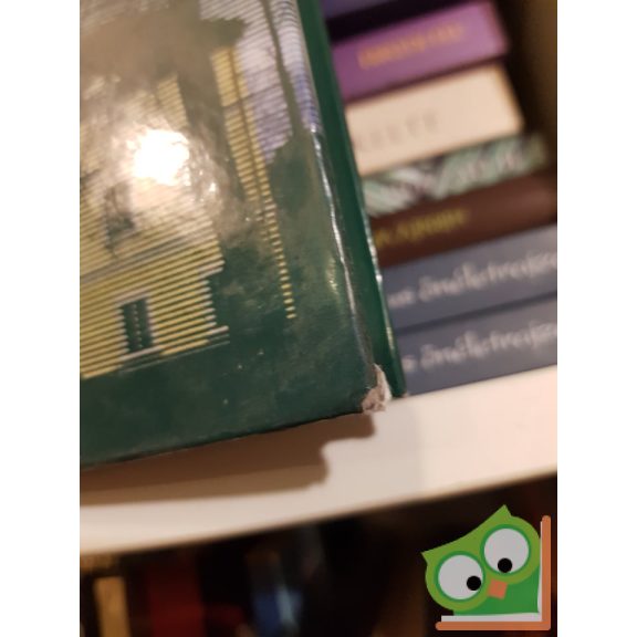 Bagyinszki Zoltán: Magyar kastélyok