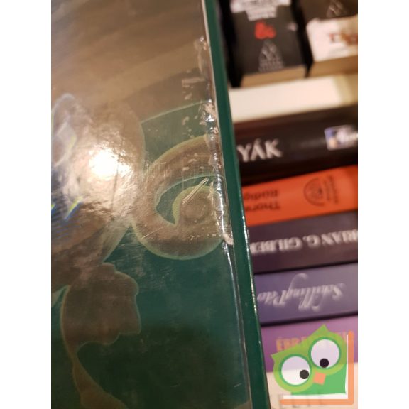 Bagyinszki Zoltán: Magyar kastélyok