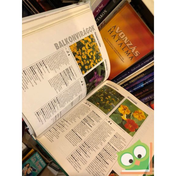 Halina Heitz: Így virítanak legszebben a balkon- és dézsás növények