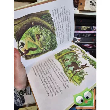 Mesék az aranygyűjteményből 4: Bambi (Arany Disney)