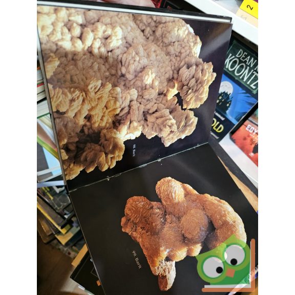 Baksa Csaba, Lázár István: Bányavirágok - Ásványok Magyarországról