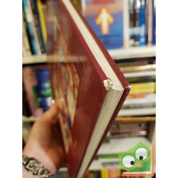 Pozdora Zsuzsa (szerk.): Barangolás a művészetek világában