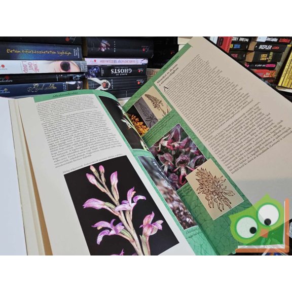 Molnár V. Attila: Barangolás a növényvilágban