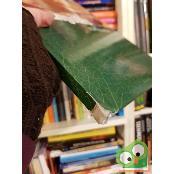 Csatlósné Miklós Anna: Barangolás a természetben