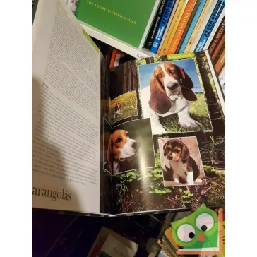 Pozdora Zsuzsa (szerk.): Barangolás a kutyák világában