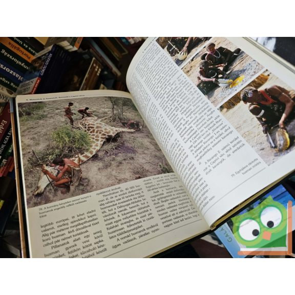 Kovács Róbert, ifj. Kovács Róbert: Barangolások Dél-Afrikában