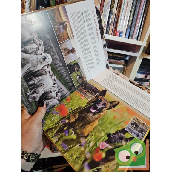 Bernáth István: Barátaink a kutyák