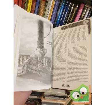 Bayer Tibor: Új Bestiárium