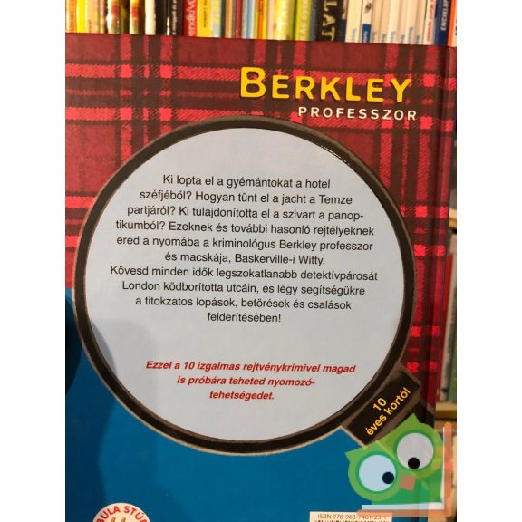 Corinna Harder, Jens Schumacher: Berkley professzor és a londoni köd (Berkley professzor 2.) (ifjúsági krimi)