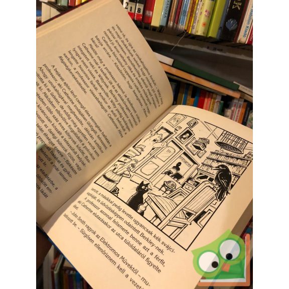 Corinna Harder, Jens Schumacher: Berkley professzor és a londoni köd (Berkley professzor 2.) (ifjúsági krimi)