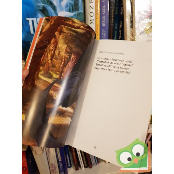 Ana Galán: Mondragó 2. A beszélő fák