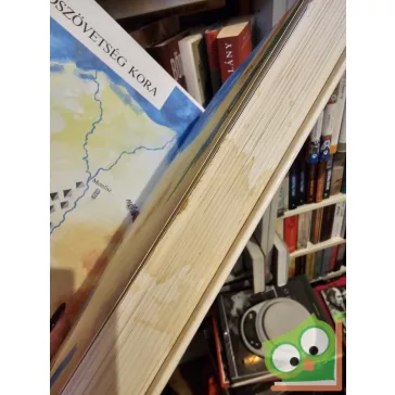 Bibliai történetek gyerekeknek