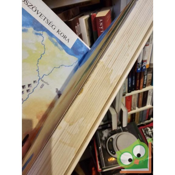 Bibliai történetek gyerekeknek