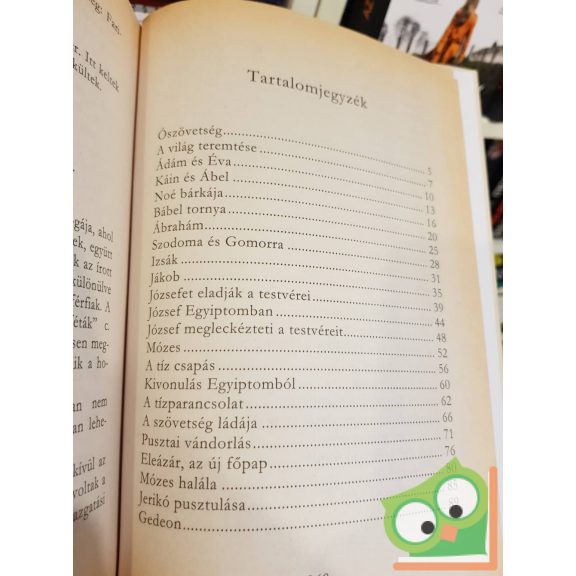 Nemere Ilona: Bibliai történetek gyerekeknek